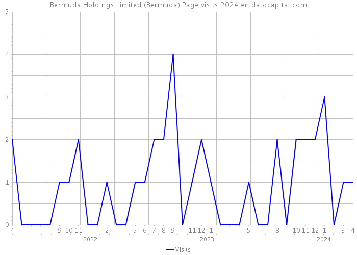 Bermuda Holdings Limited (Bermuda) Page visits 2024 
