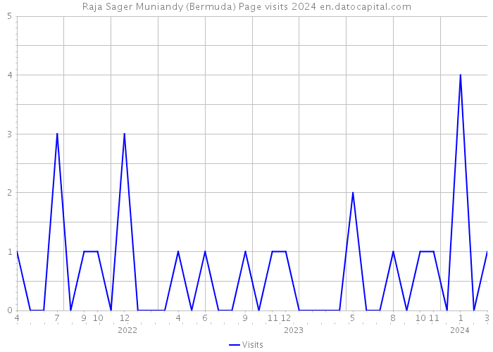 Raja Sager Muniandy (Bermuda) Page visits 2024 