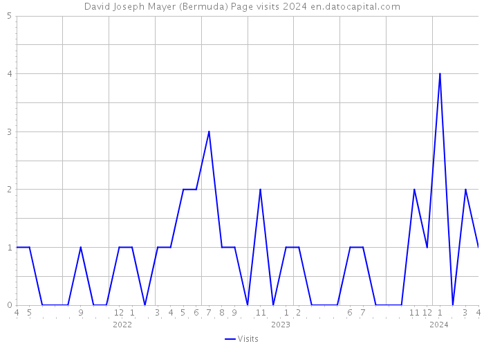 David Joseph Mayer (Bermuda) Page visits 2024 