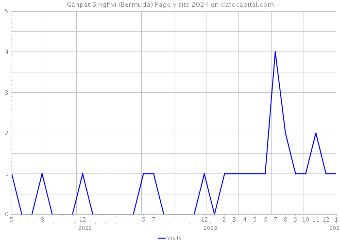 Ganpat Singhvi (Bermuda) Page visits 2024 