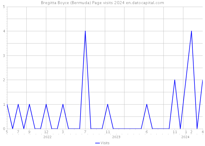Bregitta Boyce (Bermuda) Page visits 2024 