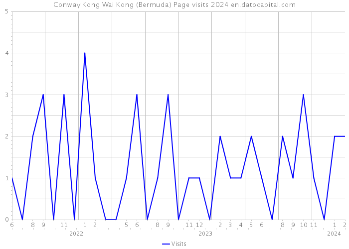 Conway Kong Wai Kong (Bermuda) Page visits 2024 