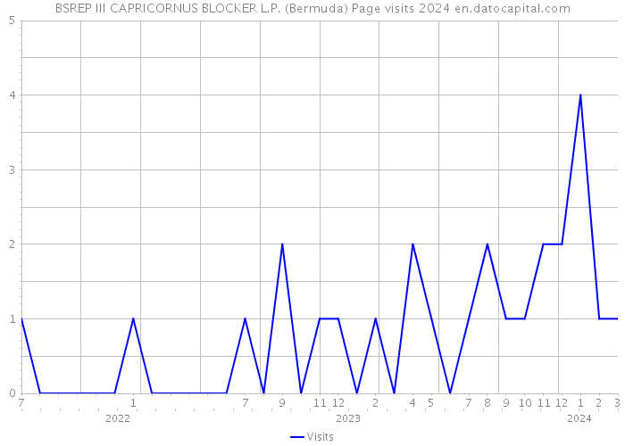 BSREP III CAPRICORNUS BLOCKER L.P. (Bermuda) Page visits 2024 