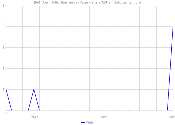 Beth Ann Hollis (Bermuda) Page visits 2024 