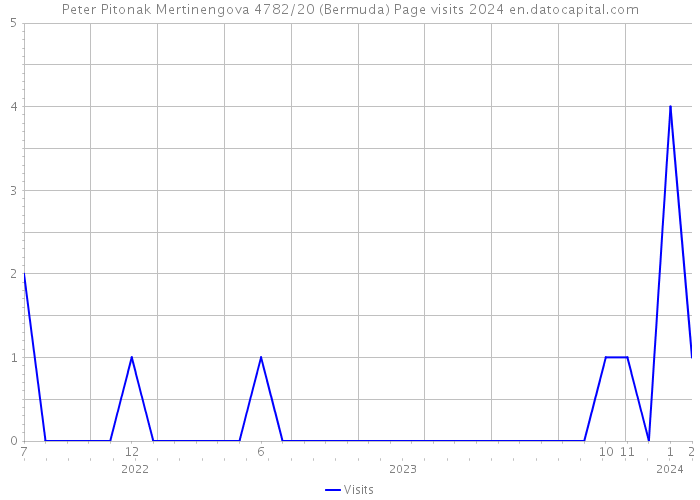 Peter Pitonak Mertinengova 4782/20 (Bermuda) Page visits 2024 