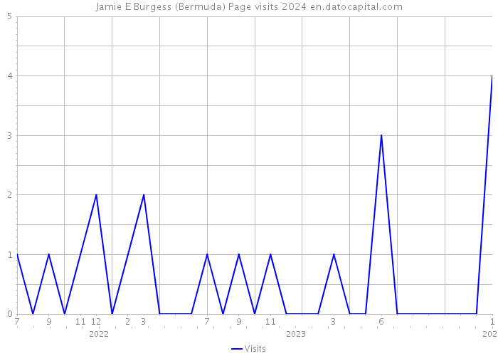 Jamie E Burgess (Bermuda) Page visits 2024 