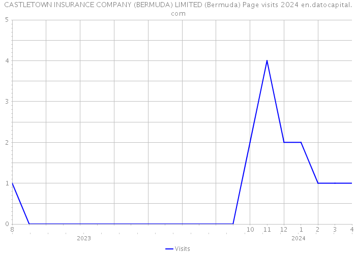 CASTLETOWN INSURANCE COMPANY (BERMUDA) LIMITED (Bermuda) Page visits 2024 