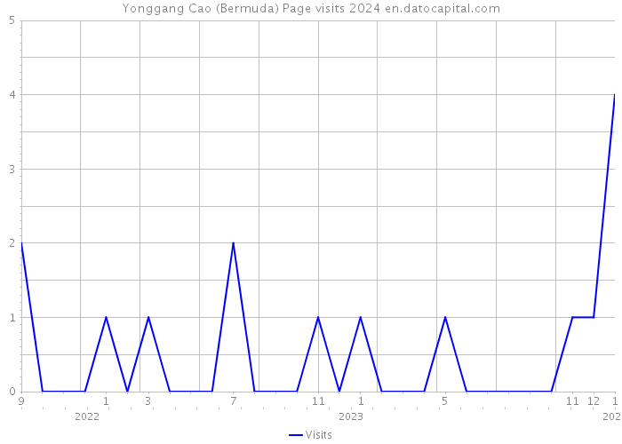 Yonggang Cao (Bermuda) Page visits 2024 