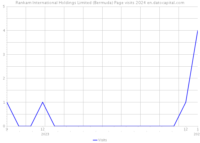 Rankam International Holdings Limited (Bermuda) Page visits 2024 