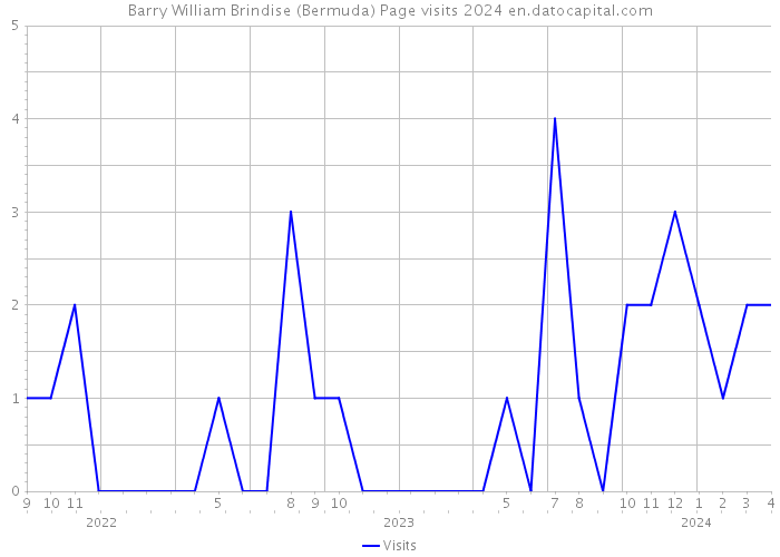 Barry William Brindise (Bermuda) Page visits 2024 