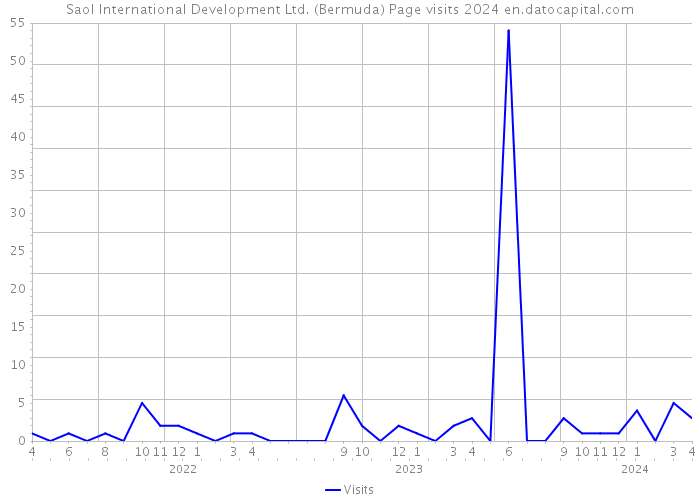 Saol International Development Ltd. (Bermuda) Page visits 2024 