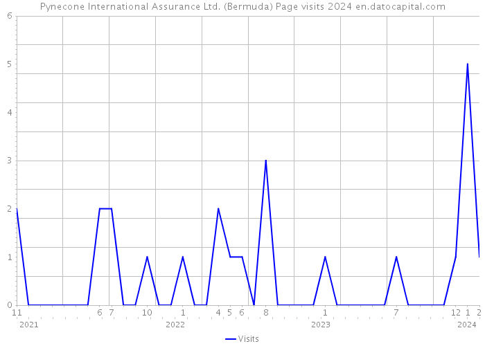 Pynecone International Assurance Ltd. (Bermuda) Page visits 2024 