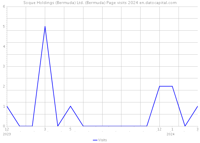 Soque Holdings (Bermuda) Ltd. (Bermuda) Page visits 2024 