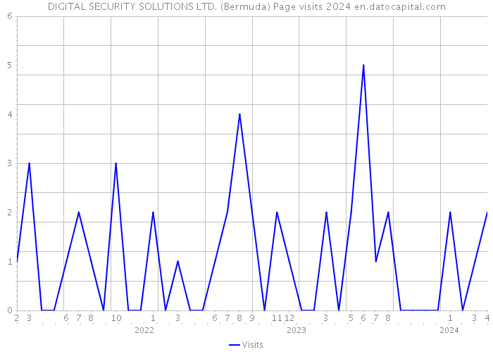DIGITAL SECURITY SOLUTIONS LTD. (Bermuda) Page visits 2024 