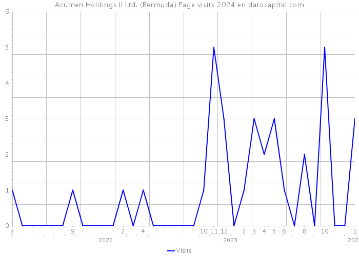 Acumen Holdings II Ltd. (Bermuda) Page visits 2024 