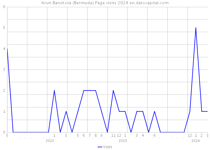 Arun Banskota (Bermuda) Page visits 2024 