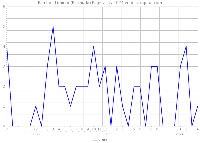 Bamboo Limited (Bermuda) Page visits 2024 