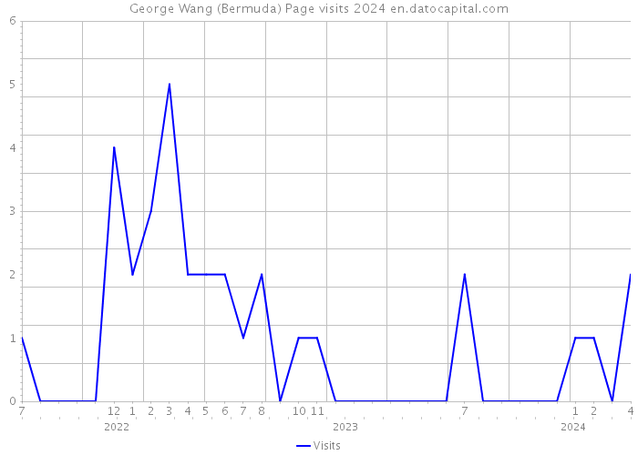 George Wang (Bermuda) Page visits 2024 