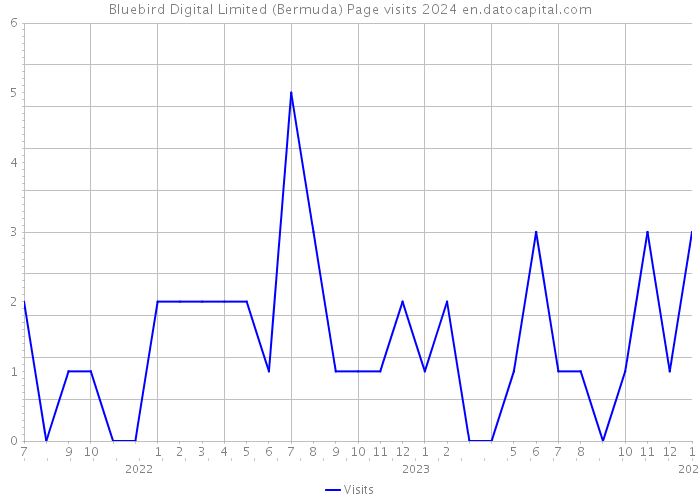 Bluebird Digital Limited (Bermuda) Page visits 2024 