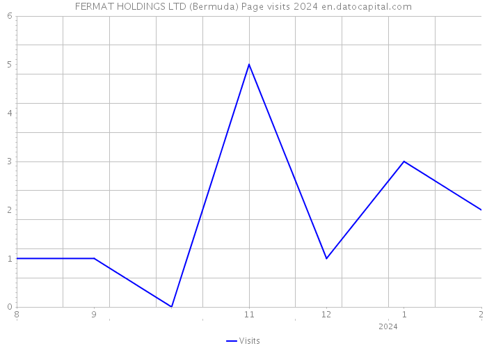 FERMAT HOLDINGS LTD (Bermuda) Page visits 2024 