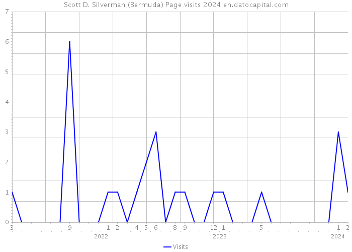 Scott D. Silverman (Bermuda) Page visits 2024 