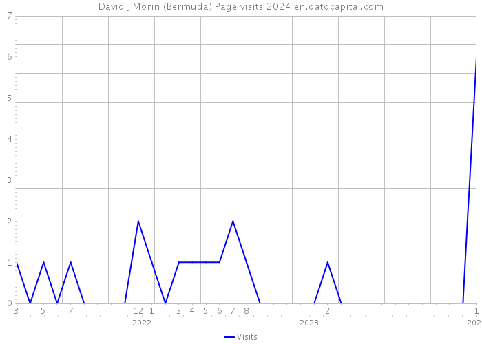 David J Morin (Bermuda) Page visits 2024 