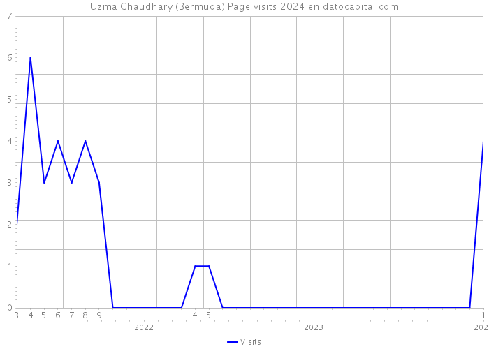 Uzma Chaudhary (Bermuda) Page visits 2024 