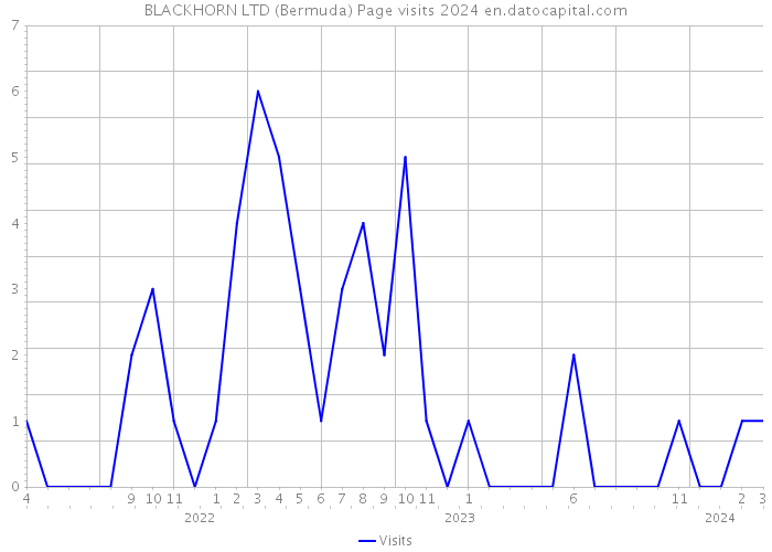 BLACKHORN LTD (Bermuda) Page visits 2024 