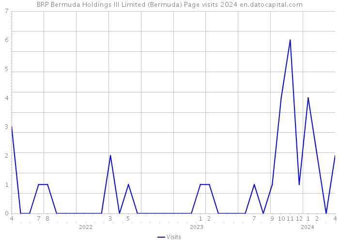 BRP Bermuda Holdings III Limited (Bermuda) Page visits 2024 