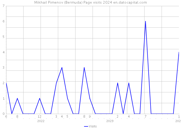 Mikhail Pimenov (Bermuda) Page visits 2024 