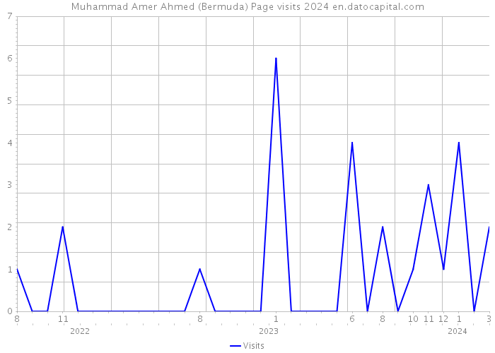 Muhammad Amer Ahmed (Bermuda) Page visits 2024 