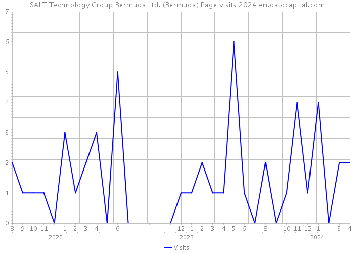 SALT Technology Group Bermuda Ltd. (Bermuda) Page visits 2024 