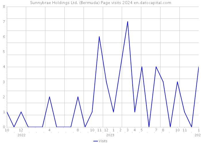 Sunnybrae Holdings Ltd. (Bermuda) Page visits 2024 