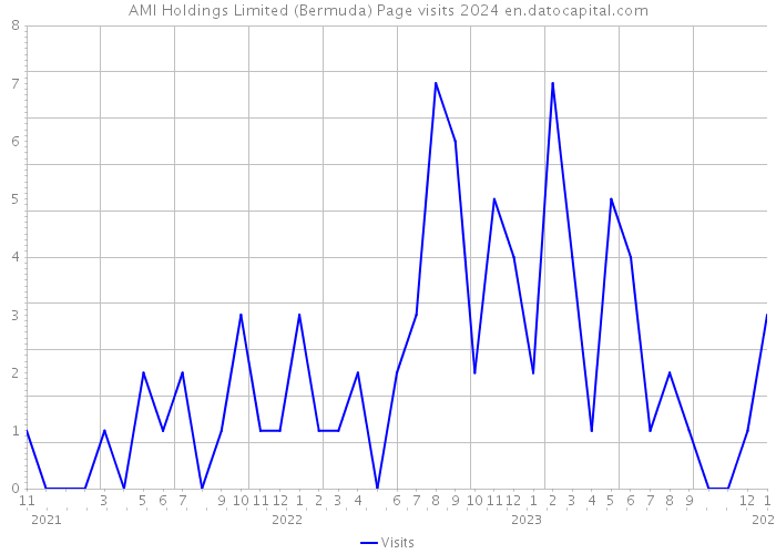 AMI Holdings Limited (Bermuda) Page visits 2024 