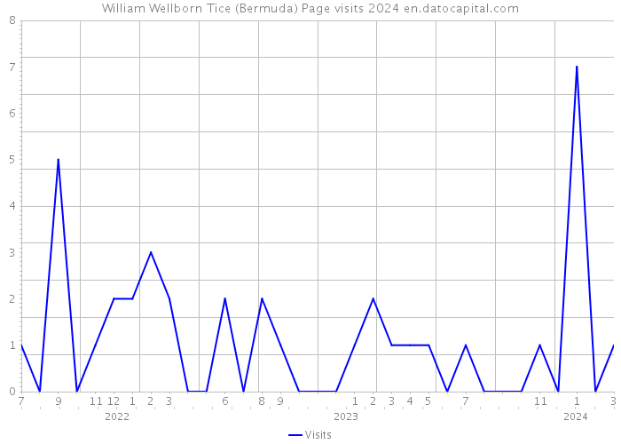 William Wellborn Tice (Bermuda) Page visits 2024 