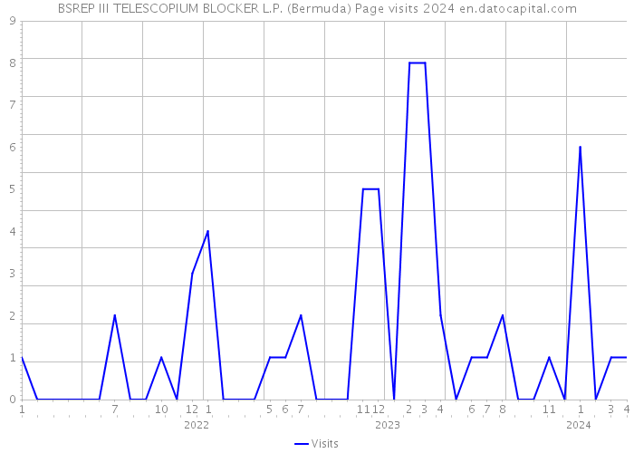 BSREP III TELESCOPIUM BLOCKER L.P. (Bermuda) Page visits 2024 